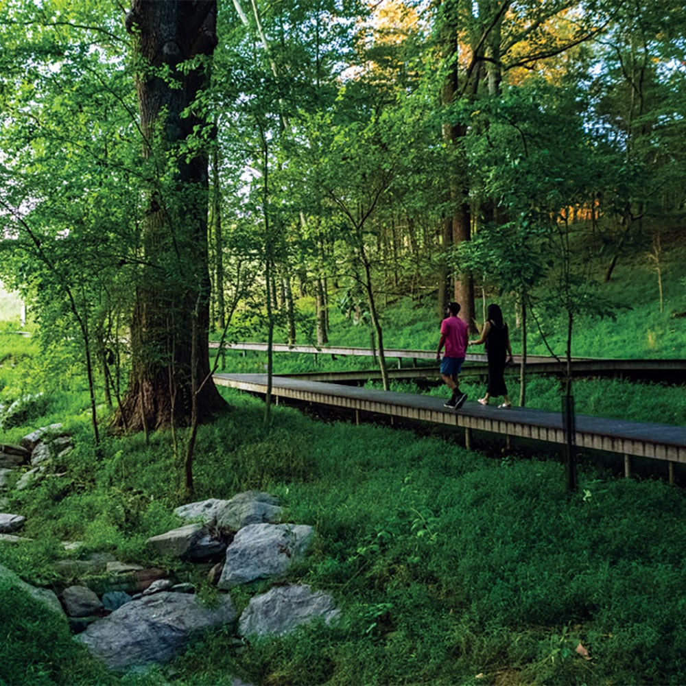 a couple walks through the woodland at Glenstone Museum in Potomac, Maryland