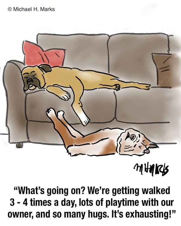 SLC-mmm-cartoon-exhausted-dogs-12-07-20-1
