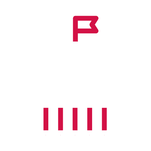 government icon
