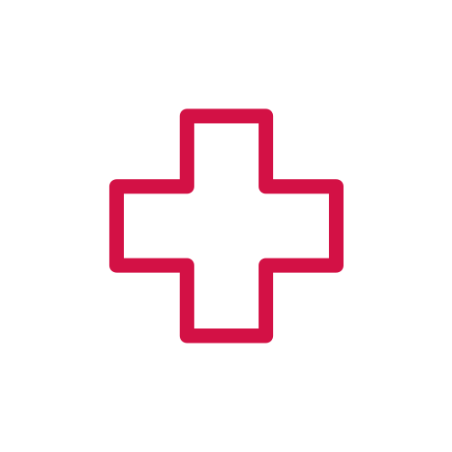 healthcare icon